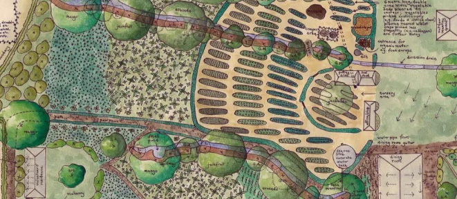Designing a Permaculture Garden: A Step-by-Step Guide