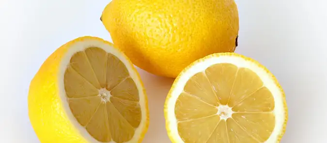 How Worms Help To Regulate The pH Of The Soil