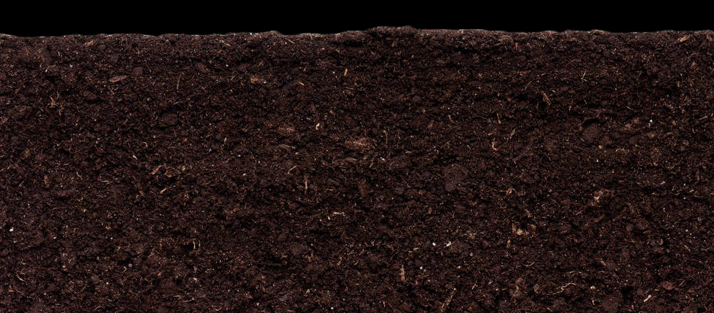 Your soils microbiome
