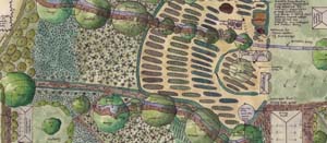 Designing a Permaculture Garden: A Step-by-Step Guide