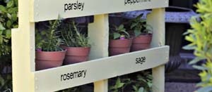 Tips, Tricks and Inspiration